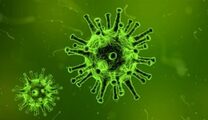 coronavirus%20header