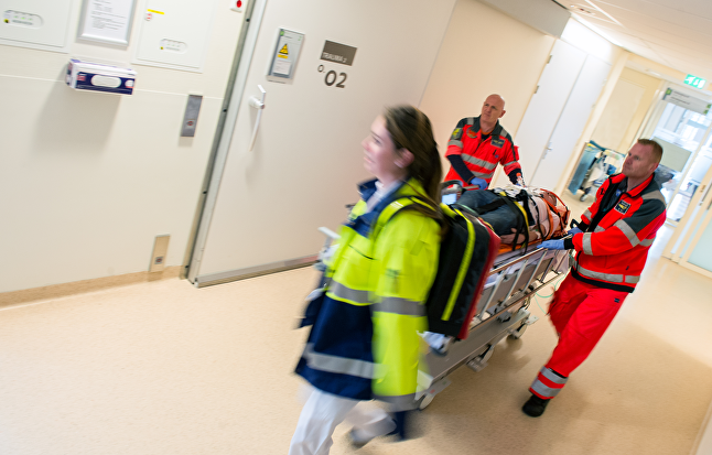 POCUS Workshop – Nice, France – May 2025