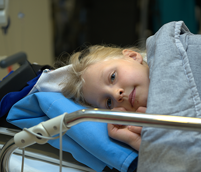 Strategische speerpunten en blik op de toekomst